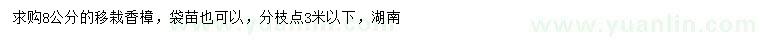 求購8公分移栽香樟