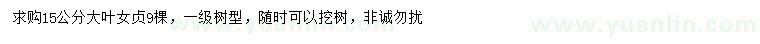 求購15公分大葉女貞
