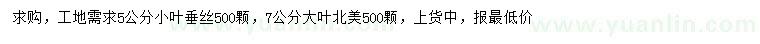 求購5公分小葉垂絲、7公分大葉北美