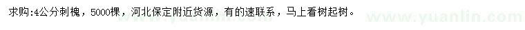 求購4公分刺槐