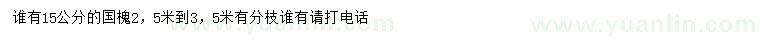 求購15公分國槐