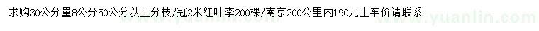 求購30公分量8公分紅葉李