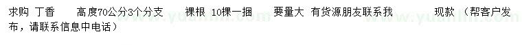 求購高度70公分丁香