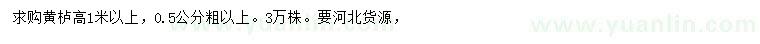 求購0.5公分以上黃櫨