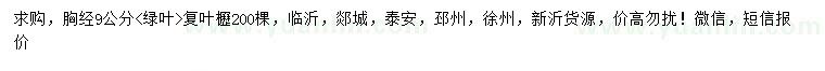 求購胸經(jīng)9公分復(fù)葉槭