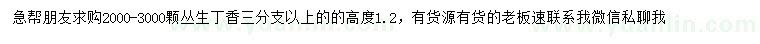 求購高度1.2米叢生丁香