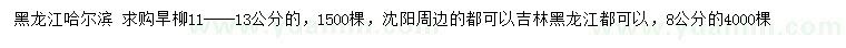 求購8、11-13公分旱柳