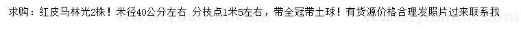 求購米徑40公分紅皮馬林光