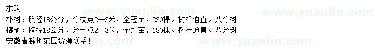 求購(gòu)胸徑18公分樸樹、榔榆