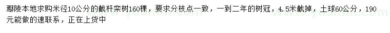 求購(gòu)米徑10公分欒樹(shù)