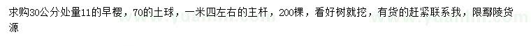 求購30公分處量11公分早櫻