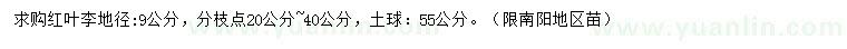 求購(gòu)9公分紅葉李