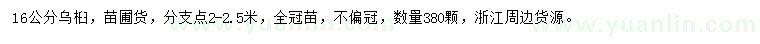 求購16公分烏桕