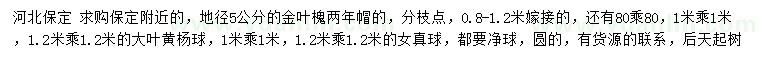 求購金葉槐、大葉黃楊球、女貞球