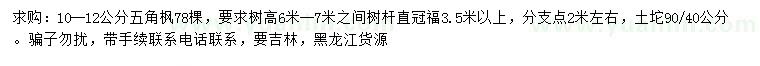 求購10-12公分五角楓