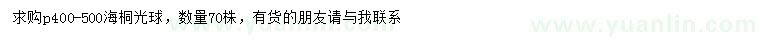 求購(gòu)冠幅400-500公分海桐光球