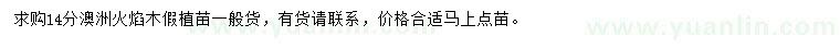 求購(gòu)14公分澳洲火焰木