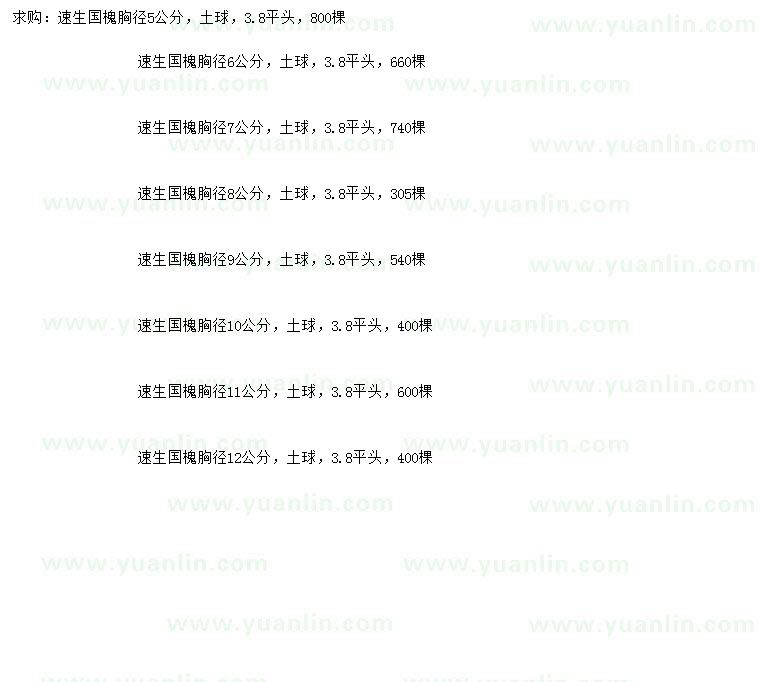 求購胸徑5 、6、7、8、9、10、11、12公分 速生國(guó)槐