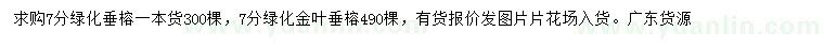 求購(gòu)7公分垂榕、金葉垂榕