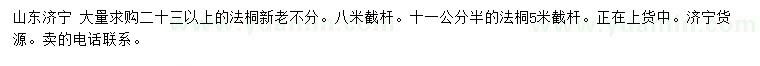 求購(gòu)11.5、23公分以上法桐