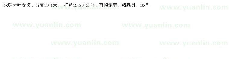求購(gòu)15-20公分大葉女貞