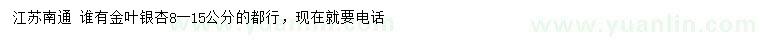 求購8-15公分金葉銀杏
