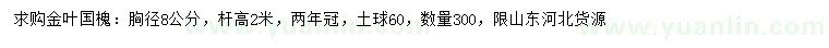 求購(gòu)胸徑8公分金葉國(guó)槐