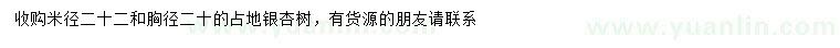 求購米徑22公分、胸徑20公分占地銀杏樹