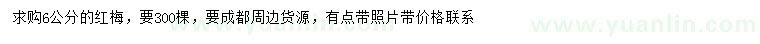 求購6公分紅梅