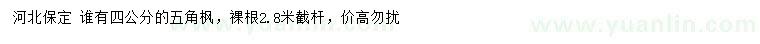 求購4公分五角楓