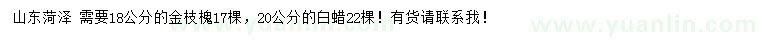 求購(gòu)18公分金枝槐、20公分白蠟