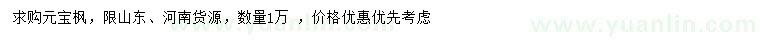 求購元寶楓