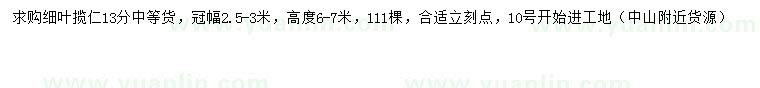 求購13公分細(xì)葉攬仁