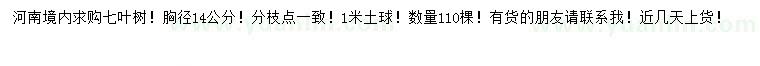 求購(gòu)胸徑14公分七葉樹(shù)