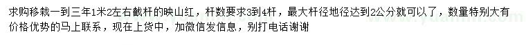 求購3-4桿映山紅