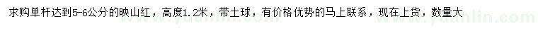 求購(gòu)5-6公分單桿映山紅