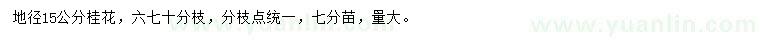 求購(gòu)地徑15公分桂花