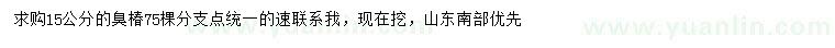求購15公分臭椿