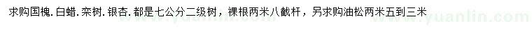 求購國(guó)槐、白蠟、欒樹等