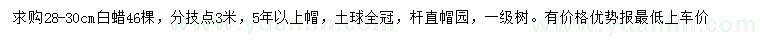 求購28-30公分白蠟