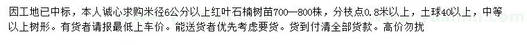 求購米徑6公分以上紅葉石楠
