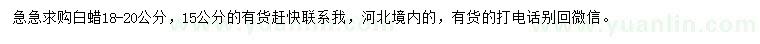 求購(gòu)15、18-20公分白蠟