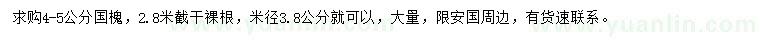 求購(gòu)米徑3.8-5公分國(guó)槐