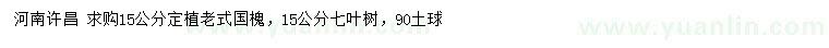 求購15公分老式國槐、七葉樹