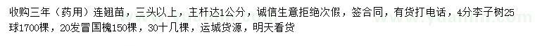 求購連翹、李子樹、國槐