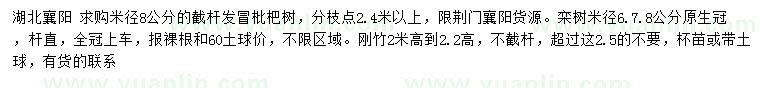 求購枇杷、欒樹、剛竹