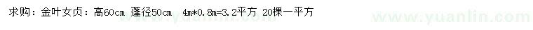 求購(gòu)高60公分金葉女貞