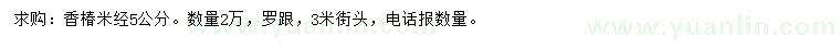 求購米徑5公分香椿