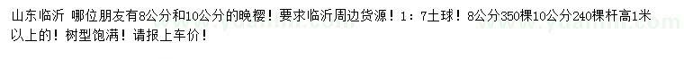 求購8、10公分晚櫻