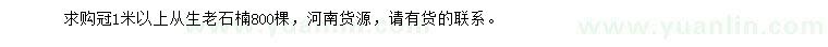 求購冠幅1米以上從生老石楠